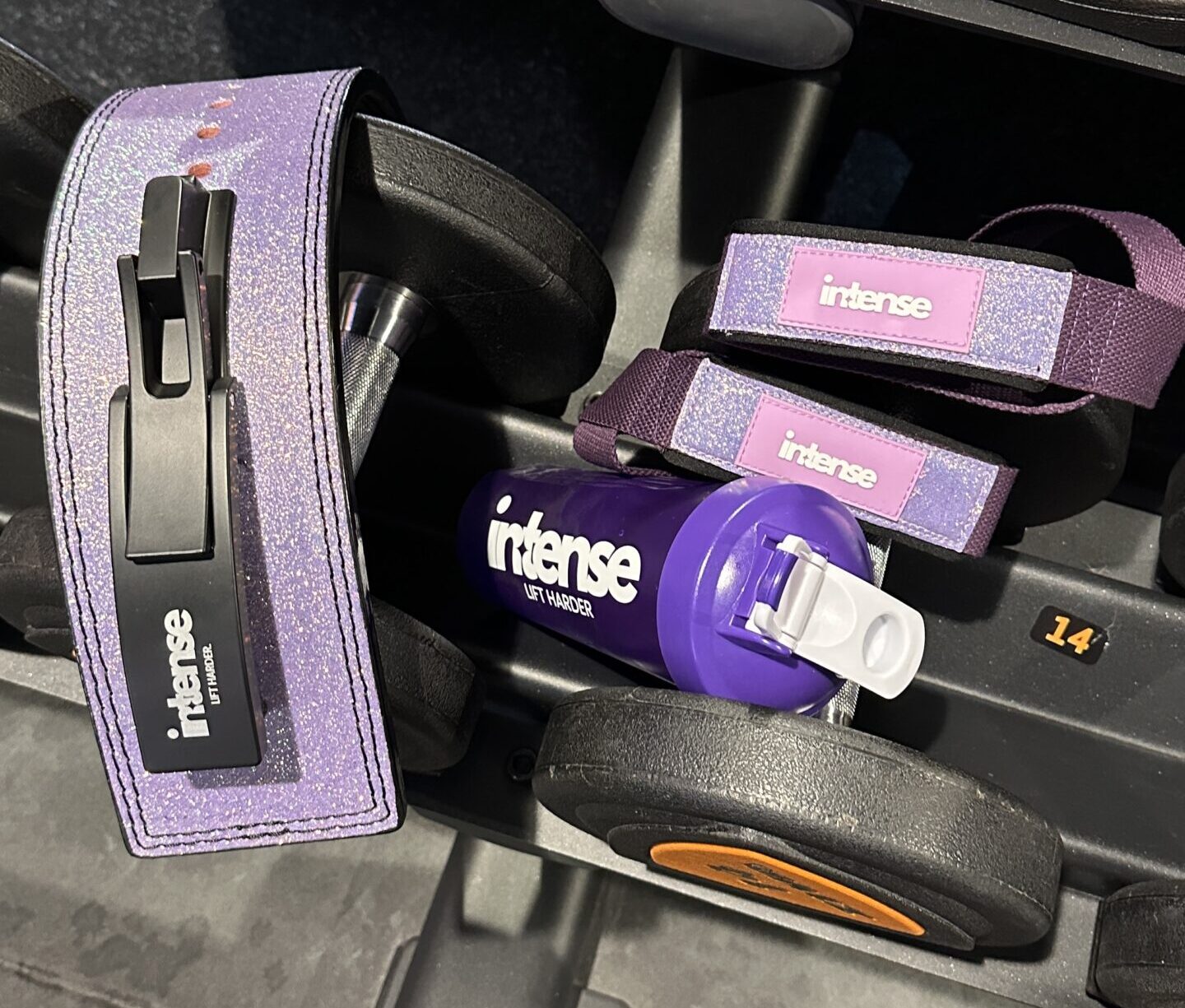 in-tense – ceinture de force in-tense - ceinture de force